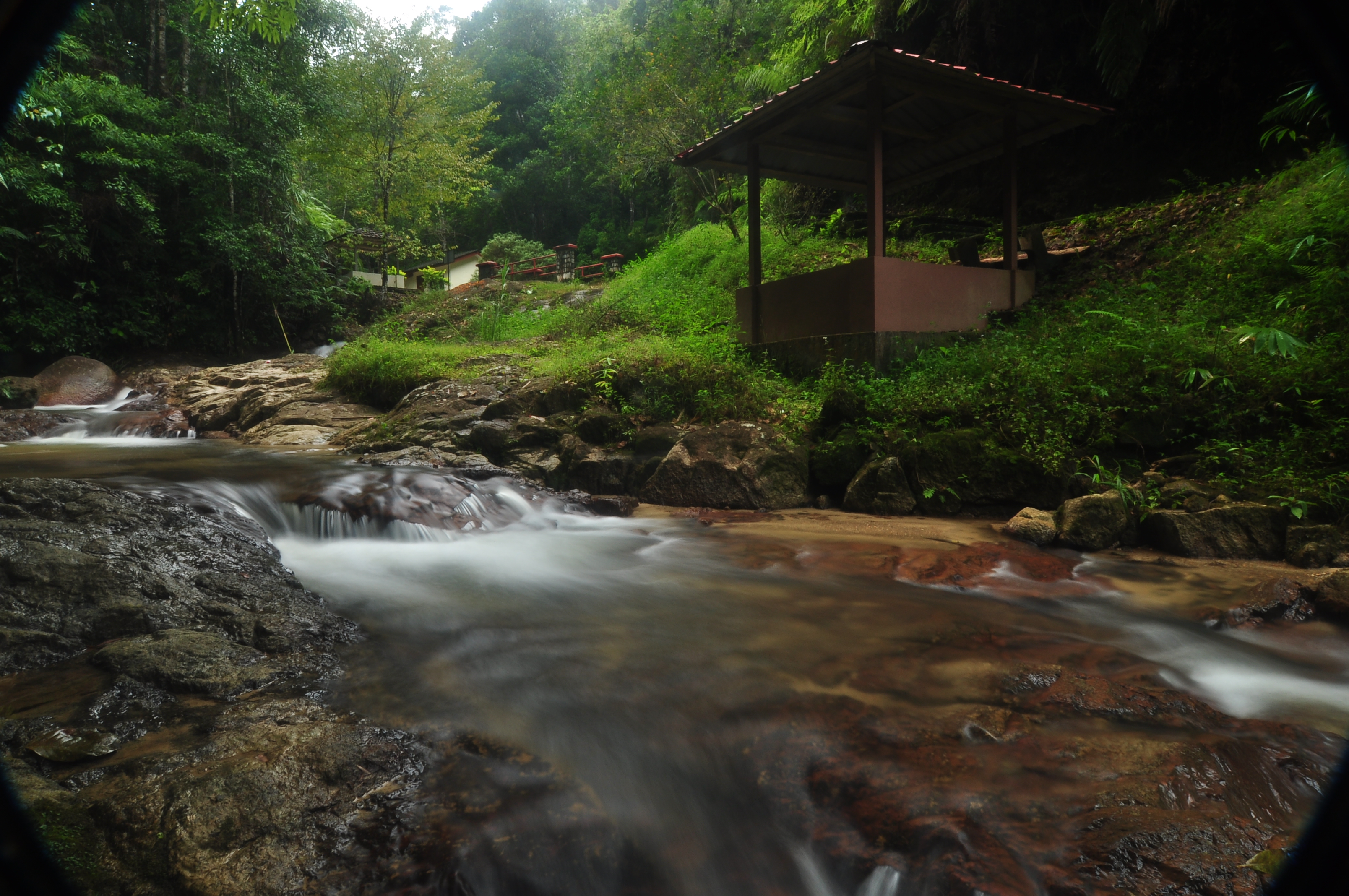 Taman Eko-Rimba Jeriau